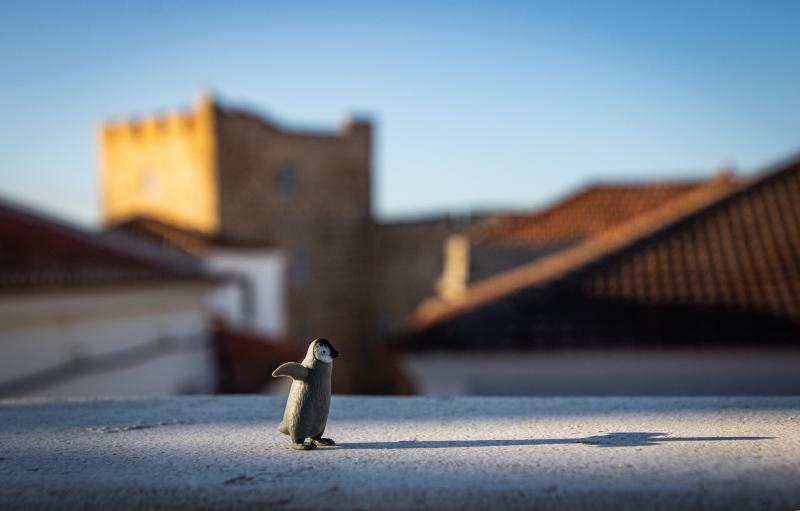 Featured image of post Manteniendo paquetes del AUR de Arch Linux